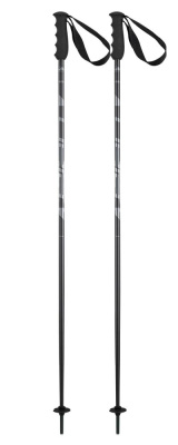 Горнолыжные палки Elan Speedrod Black