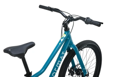 Подростковый велосипед Format 6413 24 Зеленый/матовый 2025 от магазина Адреналин