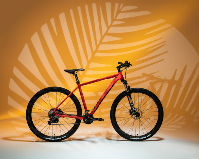 Велосипед горный Welt Rockfall 4.0 29 2024 Fire Red от магазина Адреналин